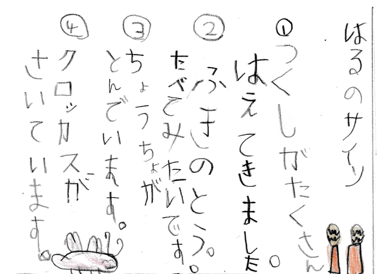 
            はるのサイン

            ① つくしがたくさん
            はえてきました。
            ② ふきのとうたべてみたいです。
            ③ ちょうちょがとんでいます。
            ④ クロッカスがさいています。
            